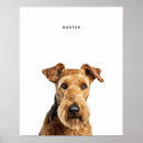 Suche nach airedale terrier Hundemutter