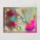 Suche nach bunte vögel postkarten Für sie