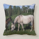 Suche nach arabische kissen Bob langrish