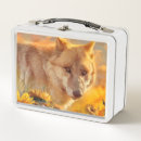 Suche nach wolf brotdosen Wildtiere