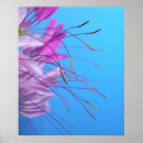 Suche nach pastels poster Pink