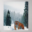 Suche nach tiere vom wilden poster Winter