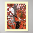 Suche nach autumn forest poster Trail