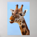 Suche nach lustige giraffe poster Niedlich
