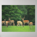 Suche nach reinigung poster Tag