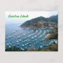 Suche nach insel von avalon Catalina
