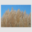 Suche nach gräser seidenpapier Sommer