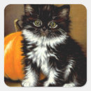 Suche nach vintage katzen aufkleber Halloween