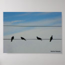 Suche nach drähte poster Natur