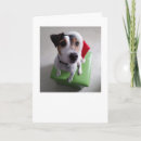 Suche nach jackrussell terrier karten Jrt