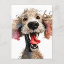 Suche nach lustige hunde postkarten Bezaubernd