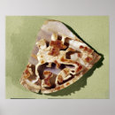 Suche nach lanzer poster Pferd