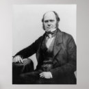 Suche nach sideburns poster Männlich