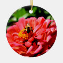 Suche nach bienen ornamente Gärtner