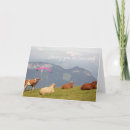 Suche nach gleitschirm karten Australien