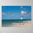 Suche nach seeschwalbe poster Meer