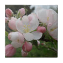 Suche nach kleine blumen fliesen Rosa