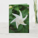 Suche nach spiral karten Nacht