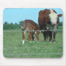 Suche nach kälber mousepads Bauernhof