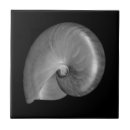 Suche nach nautilus fliesen Muschel