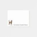 Suche nach belgische malinois poster Belgianisch
