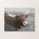 Suche nach niedliche kuh puzzle Fotografie