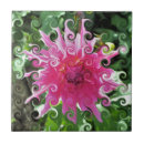 Suche nach rosa dahlie fliesen Dahlia blume