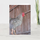 Suche nach alte scheune karten Huhn