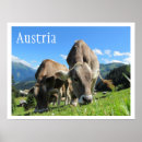 Suche nach österreichische alpen poster Austria
