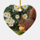Suche nach gänseblümchen ornamente Fotografie