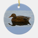 Suche nach enter ornamente Enten