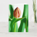 Suche nach blumenblätter karten Grün