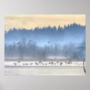 Suche nach enten im flug poster Natur