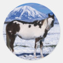 Suche nach paint horse aufkleber Reiter