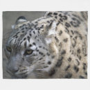 Suche nach schnee decken Tiere
