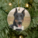Suche nach dobermann schmuck Haustier