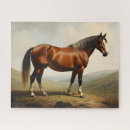 Suche nach pony puzzle Reiter