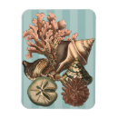 Suche nach sanddollar magnete Meer