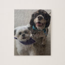 Suche nach cocker spaniel puzzle Haustiere