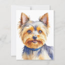 Suche nach yorkshire terrier postkarten Niedlich