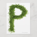 Suche nach kresse poster Quadrat