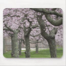 Suche nach kirschbaum mousepads Usa