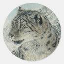 Suche nach könig der könige aufkleber Katze