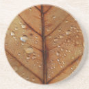 Suche nach herbst untersetzer Botanisch