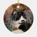 Suche nach schwarzweiss katze ornamente Weihnachten