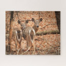 Suche nach herbstwald puzzle Bäume