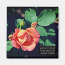 Suche nach für floristen magnete Rose