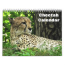 Suche nach gepard kalender Tiere