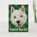 Suche nach westie karten Lustig
