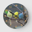 Suche nach budgie poster Parakeet